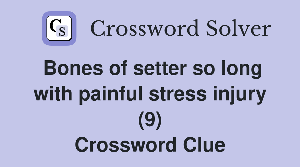 Bones of setter so long with painful stress injury (9) Crossword Clue Answers Crossword Solver